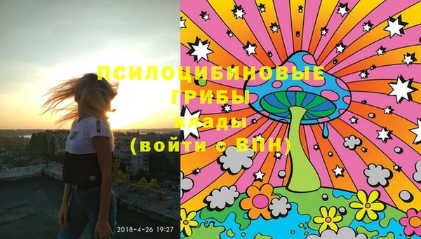 шишки Баксан