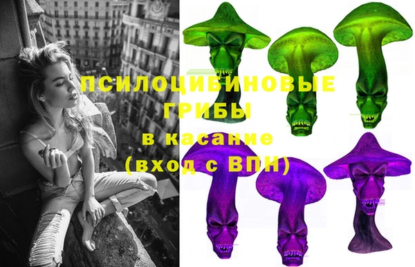 шишки Баксан