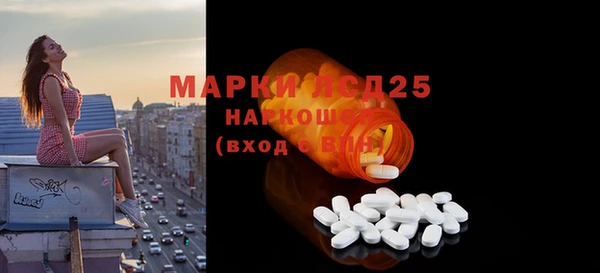 шишки Баксан