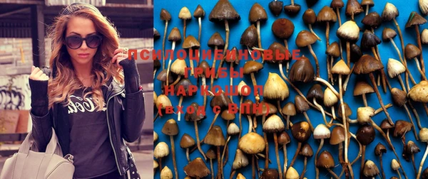шишки Баксан